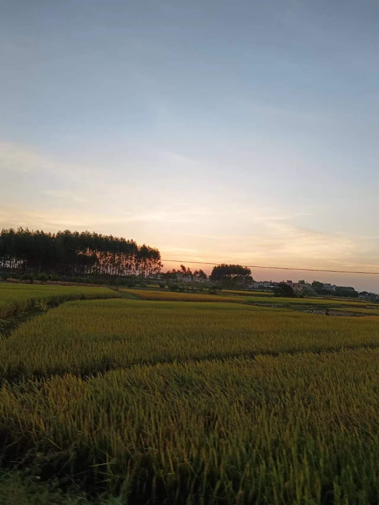 闈掓煚鑻忔墦鑹瞘ameboy,灏忓尯閲岄亣鍒颁竴涓皬鐢峰