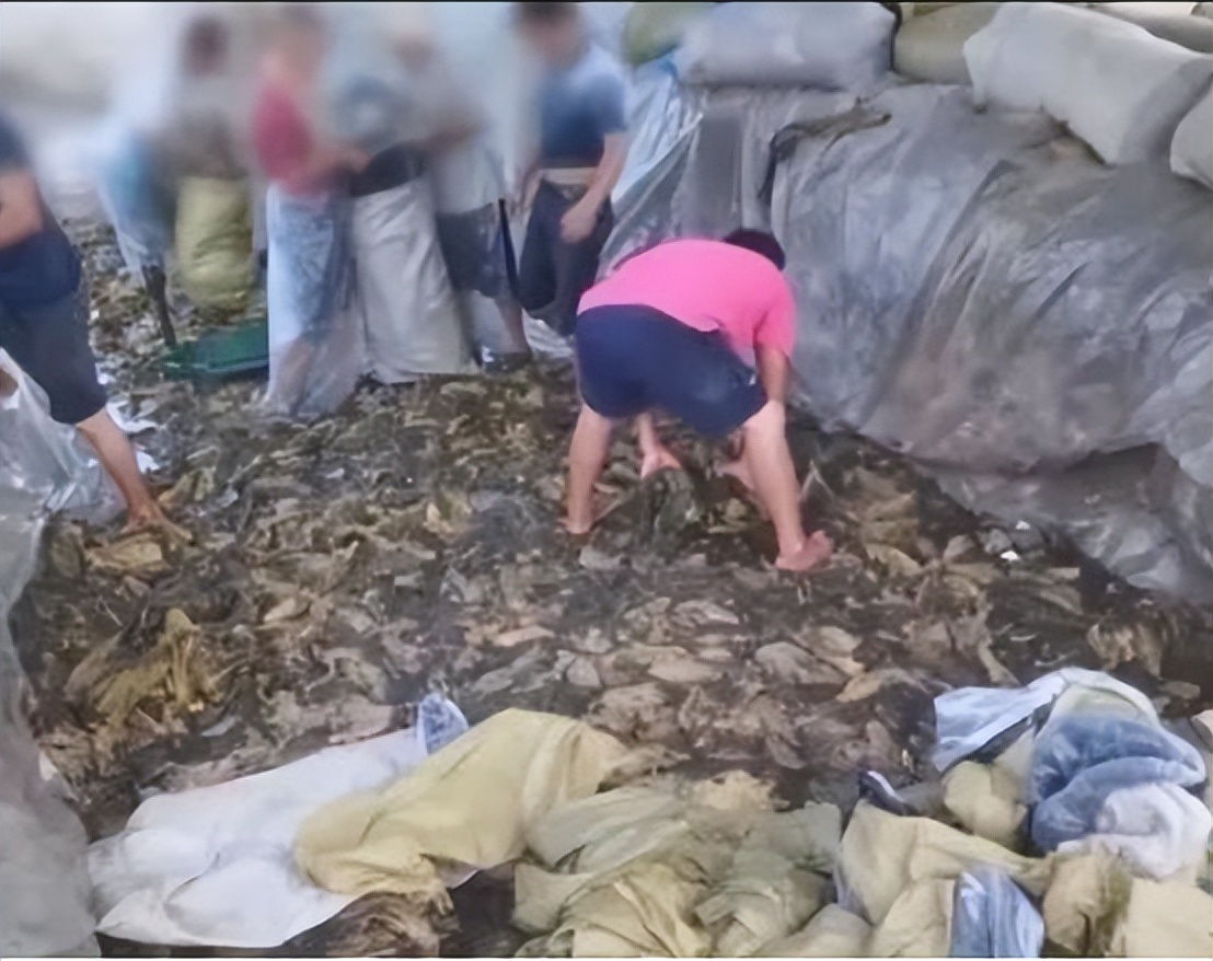 315点过名的品牌现在都怎么样了,曾被315报道过的品牌如今怎么样了