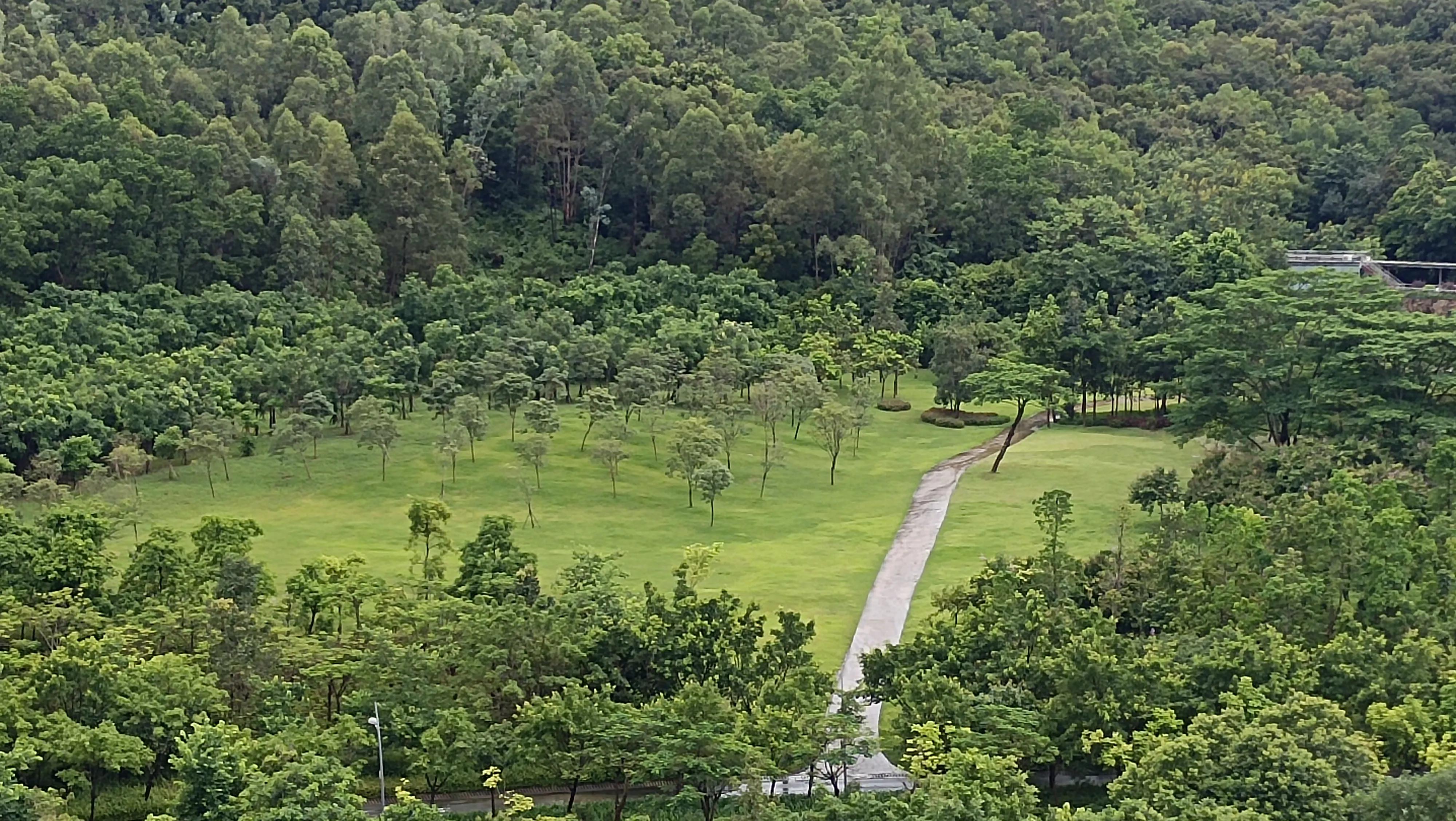 运动神经元病是什么样的,运动神经元病是什么现象