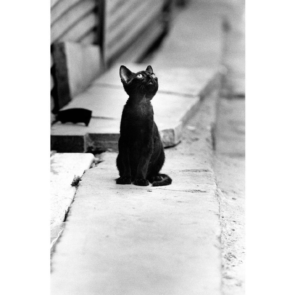 如何提高自己的免疫能力和抵抗力,如何提升自己的免疫力和自愈力