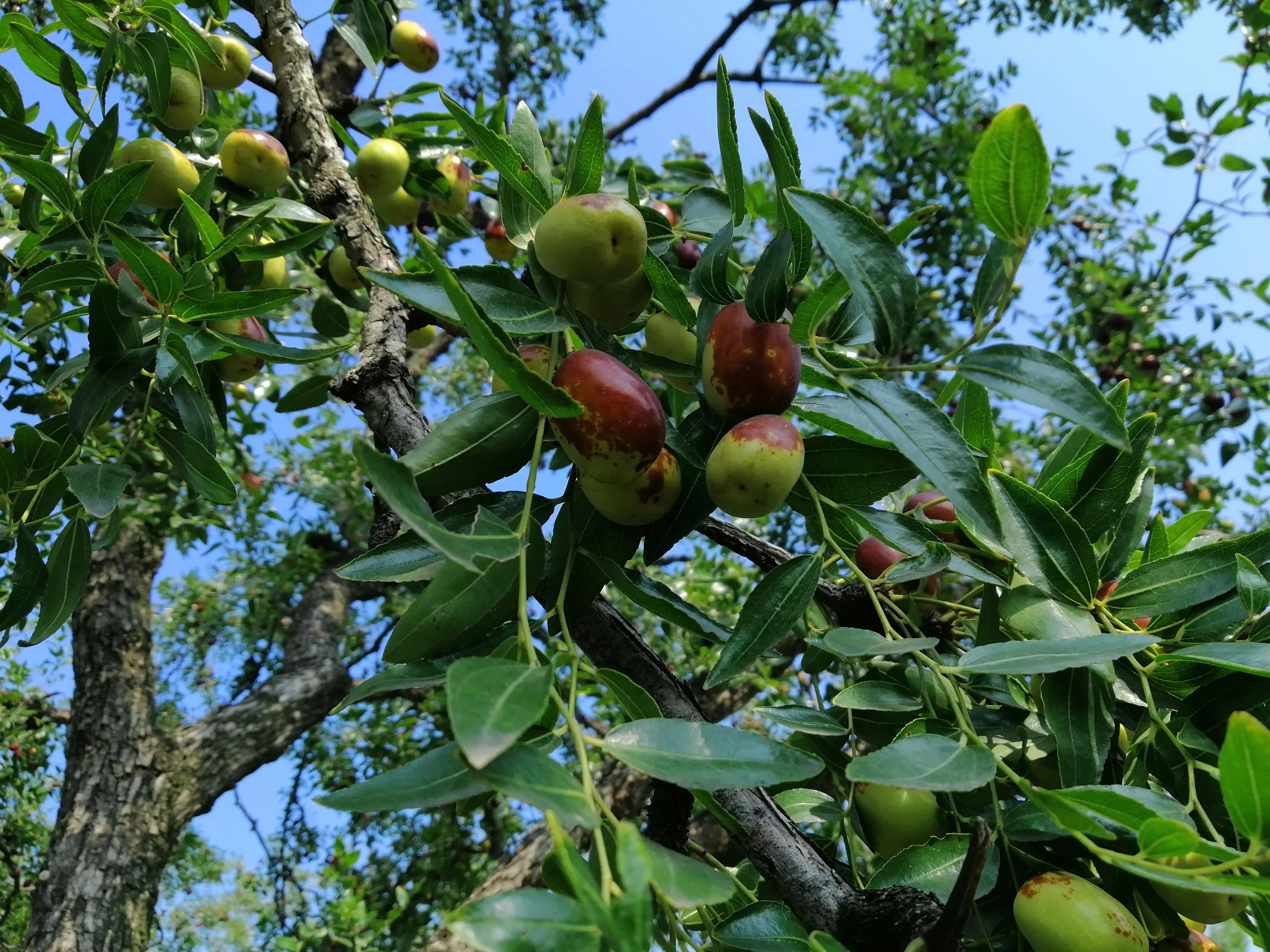 警惕次生灾害,警惕物种入侵