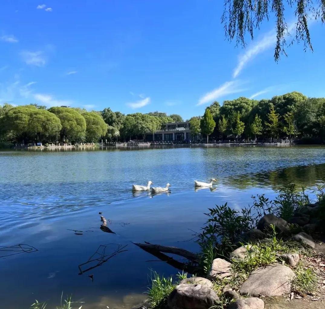 草长莺飞踏青去,草长莺飞适合去哪里