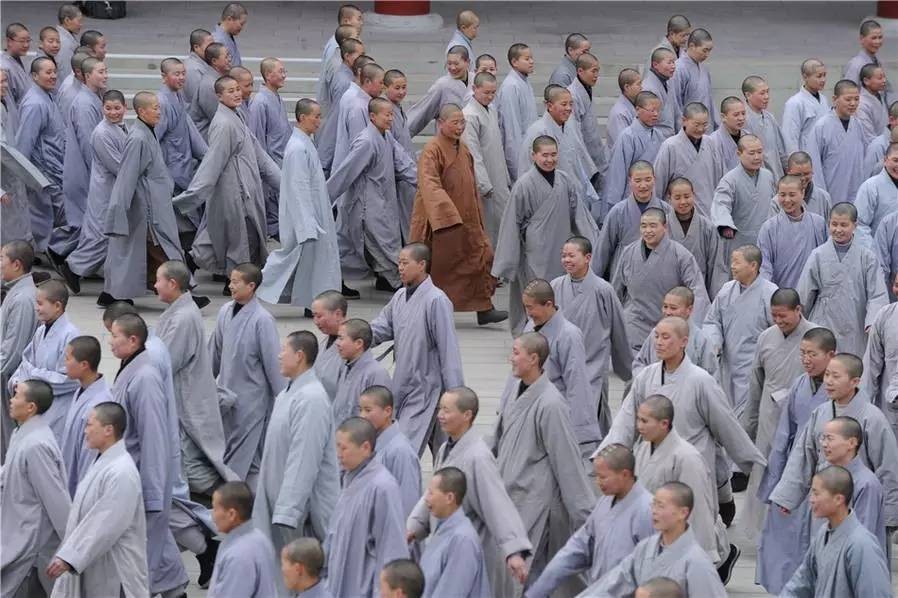 广东谭姓三姐妹遁入佛门,广东三姐妹出家传奇