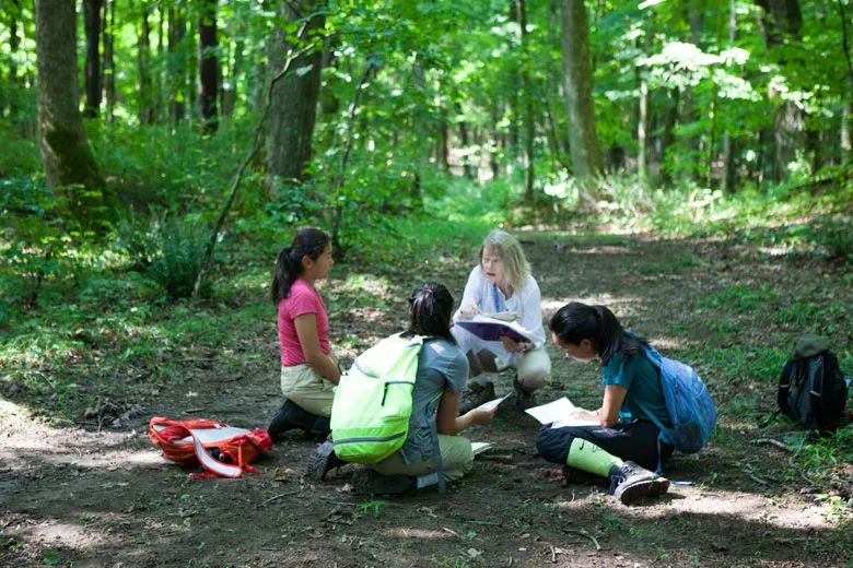 美国顶级高中霍奇基斯学校,美国霍奇基斯中学情况