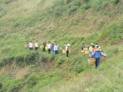 清明节扫墓为什么要放鞭炮,清明节上坟烧纸钱真的有用吗