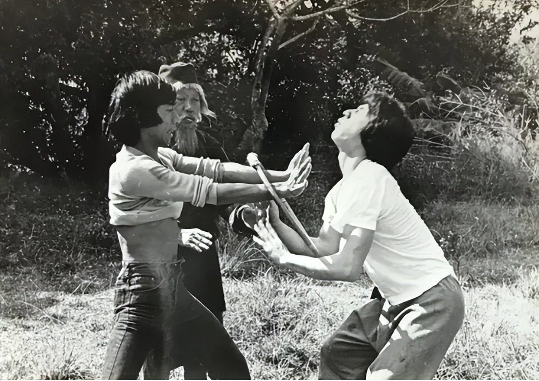 袁小田成龙采访,袁小田与成龙合演的全部电影