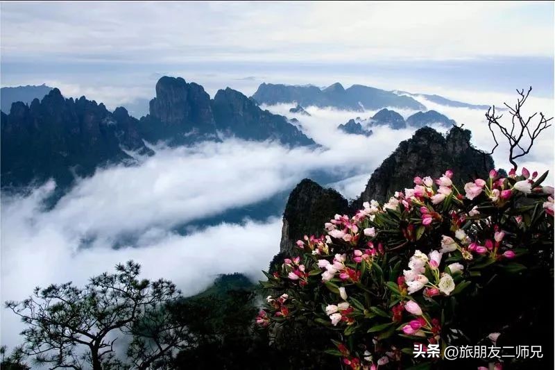 金秀圣堂湖在圣堂山吗,广州南浦出发一日游
