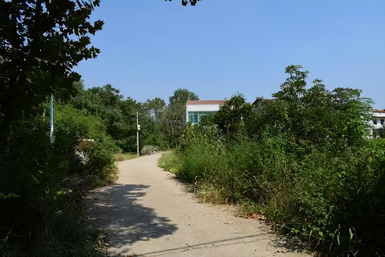 相亲女生暗示自己用钱,相亲女生告诉你她的收入