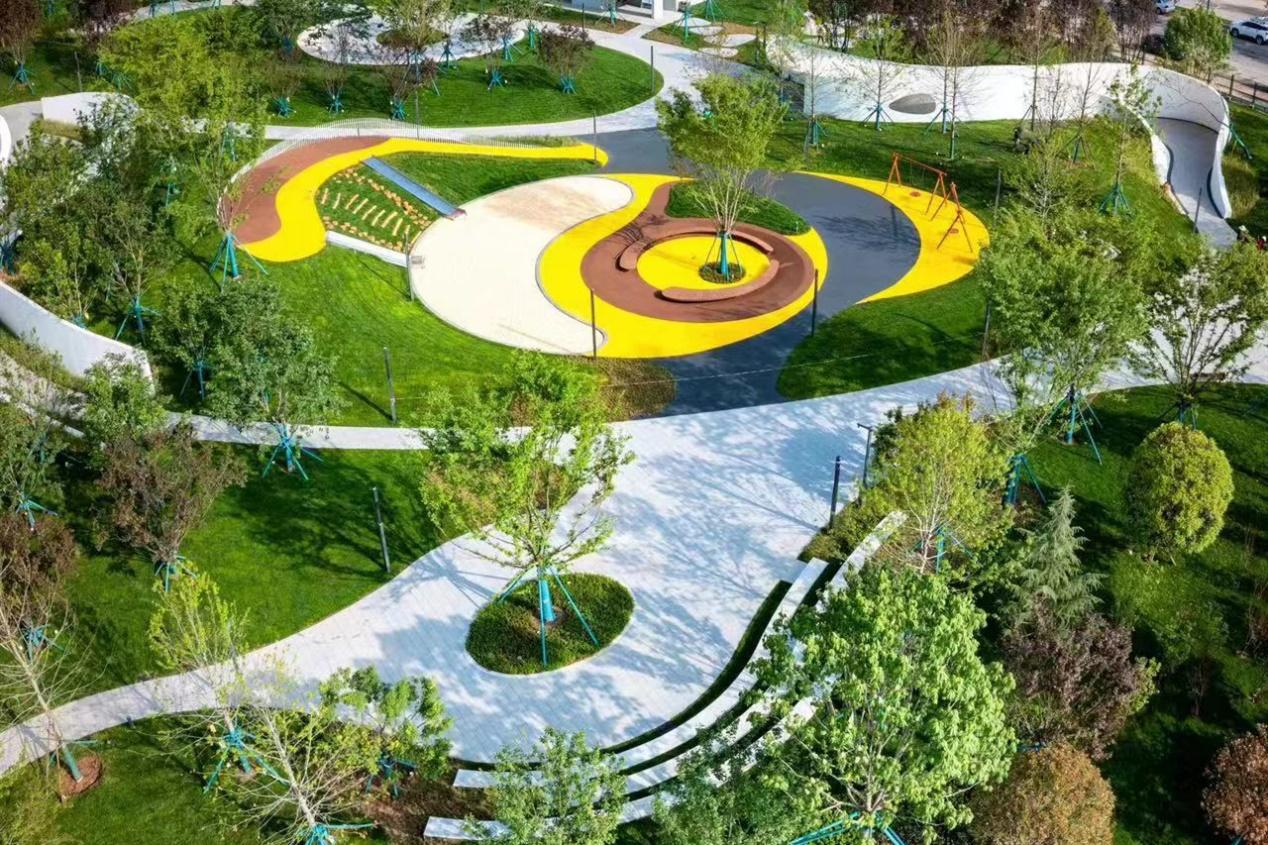 同济大学任力之,同济大学任力之教授