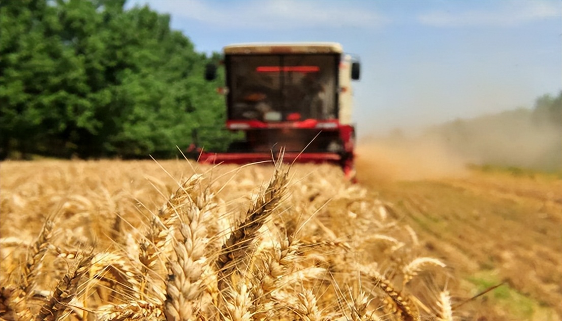 美国近期和中国的最新消息,美国有进行粮食制裁吗