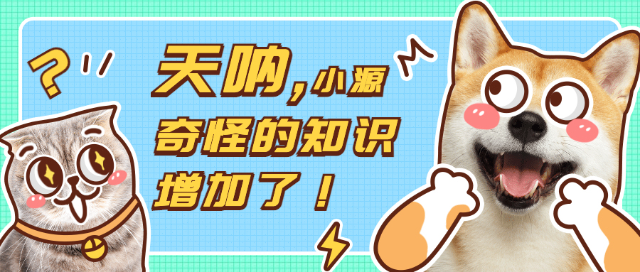 华强北总部耳机避坑指南,华强北耳机购物攻略