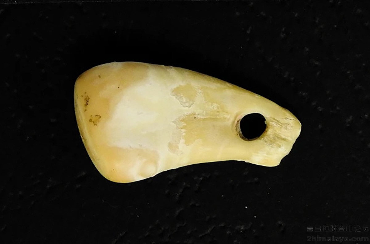 [俄]DNA“时间旅行”-麋鹿骨吊坠中提取20,000年前女子的基因