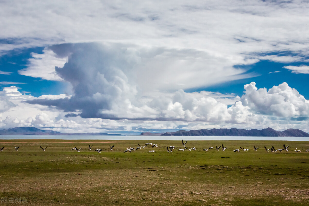 创业者应该关注的重要消费群体,创业者必须懂的定价