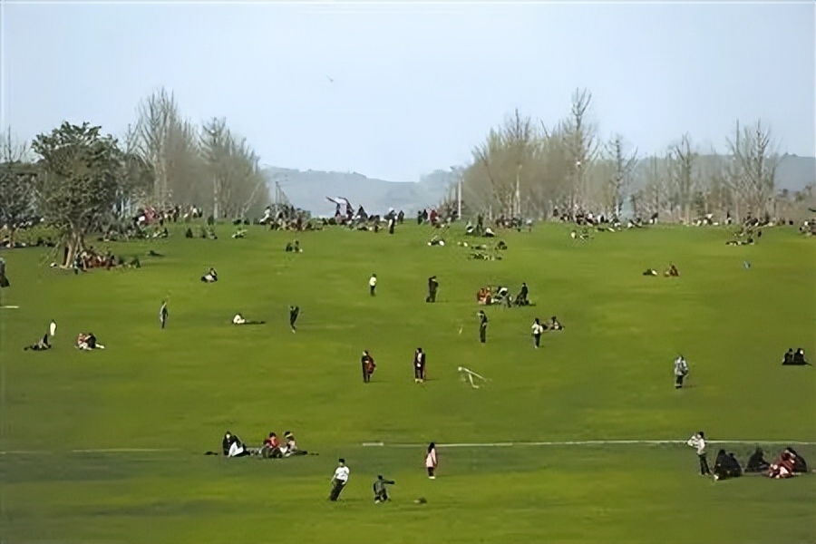 800度近视怎么缓解近视,近视900度怎么做视力防控