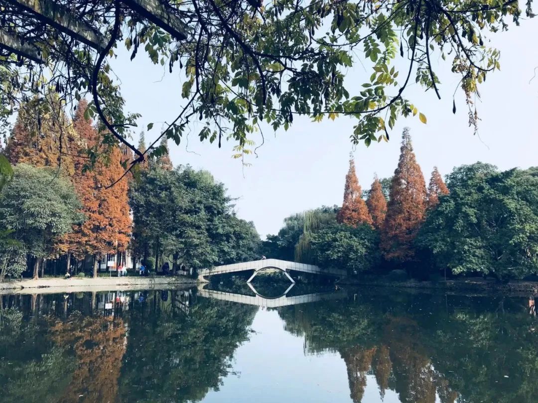 西南交大是男生多还是女生多,西南交大最简单的学历