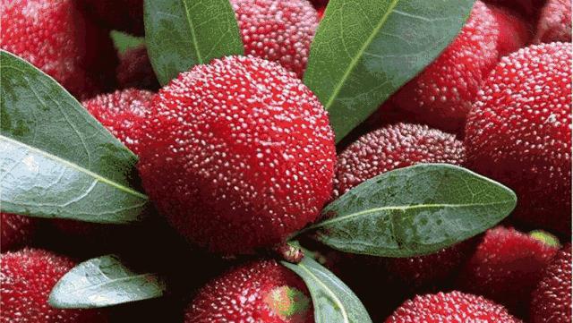 浙江土特产大全有哪些,浙江特产有哪些土特产品呢