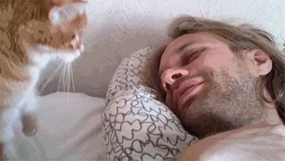 猫咪早上一直叫是怎么回事,早上睡觉猫咪一直嗯喵嗯喵的叫