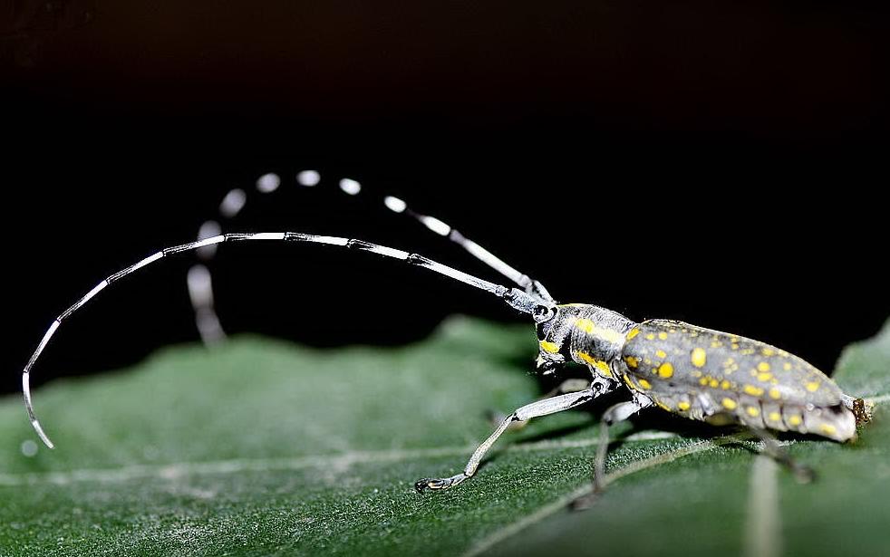 遨游海洋的神器,遨游海底的工具