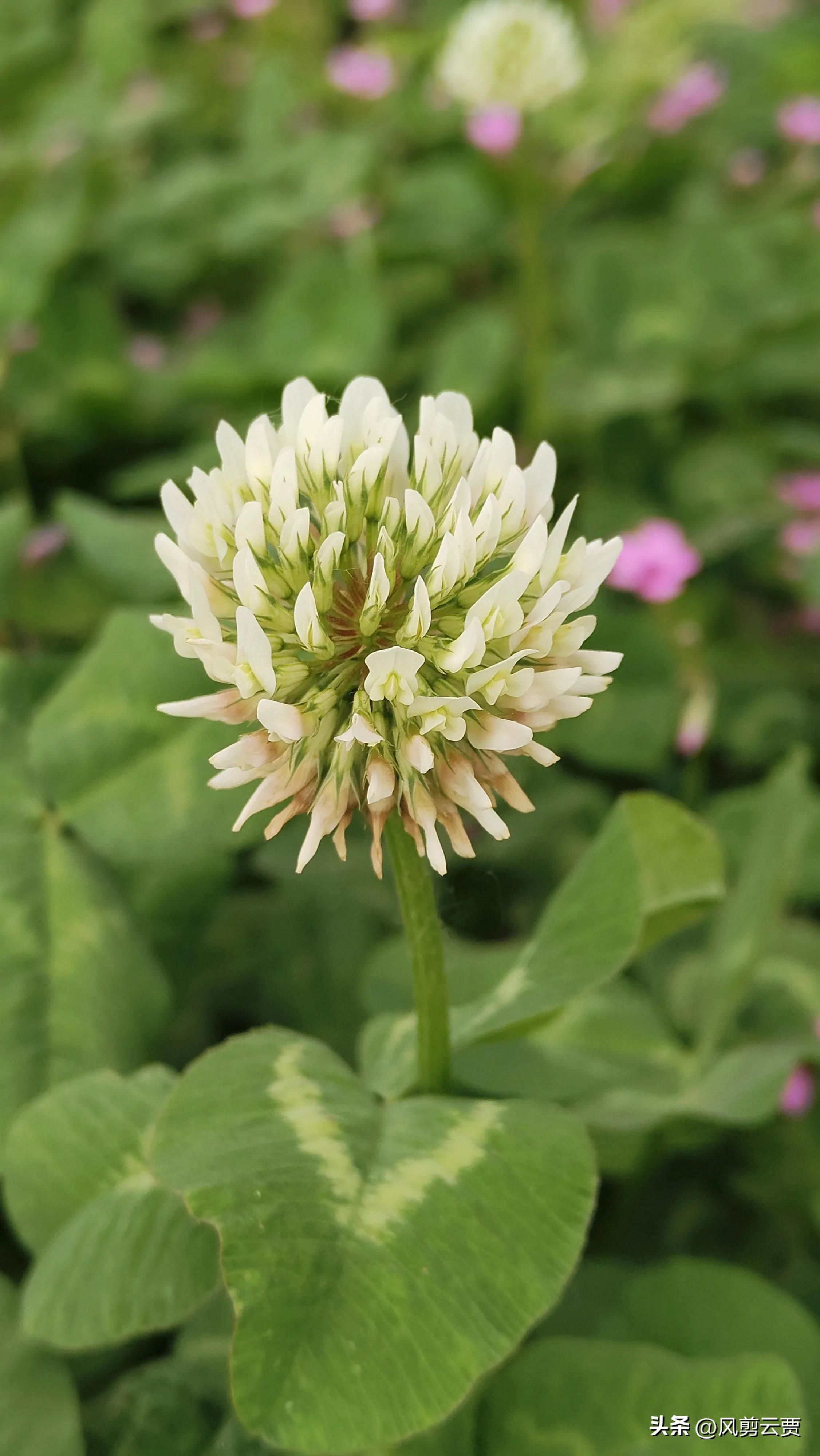 当你被人嘲笑和讽刺时你会怎么做,别人歧视你时你怎么反驳