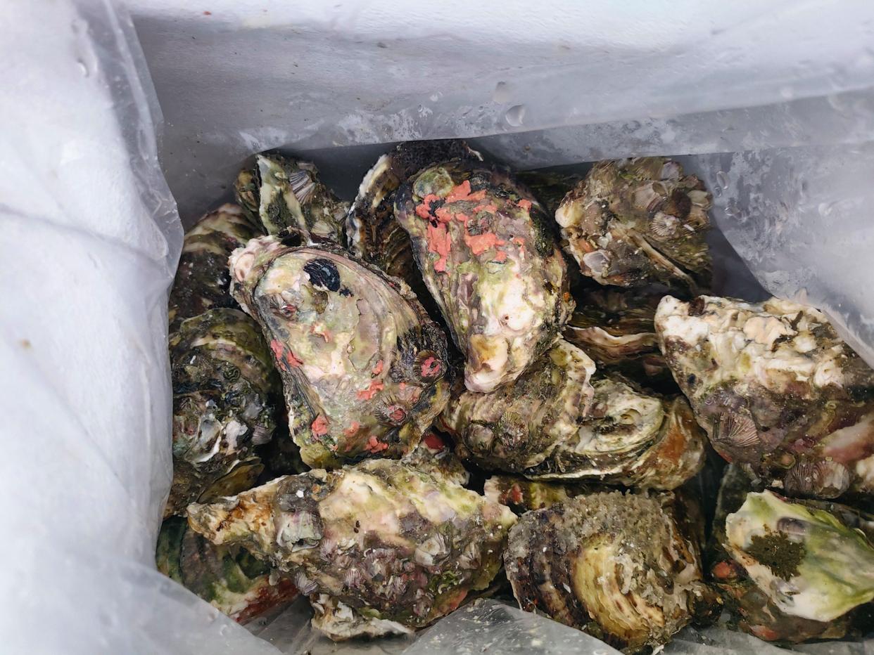 生蚝煮几分钟最好吃最嫩,生蚝最简单的不开壳的吃法