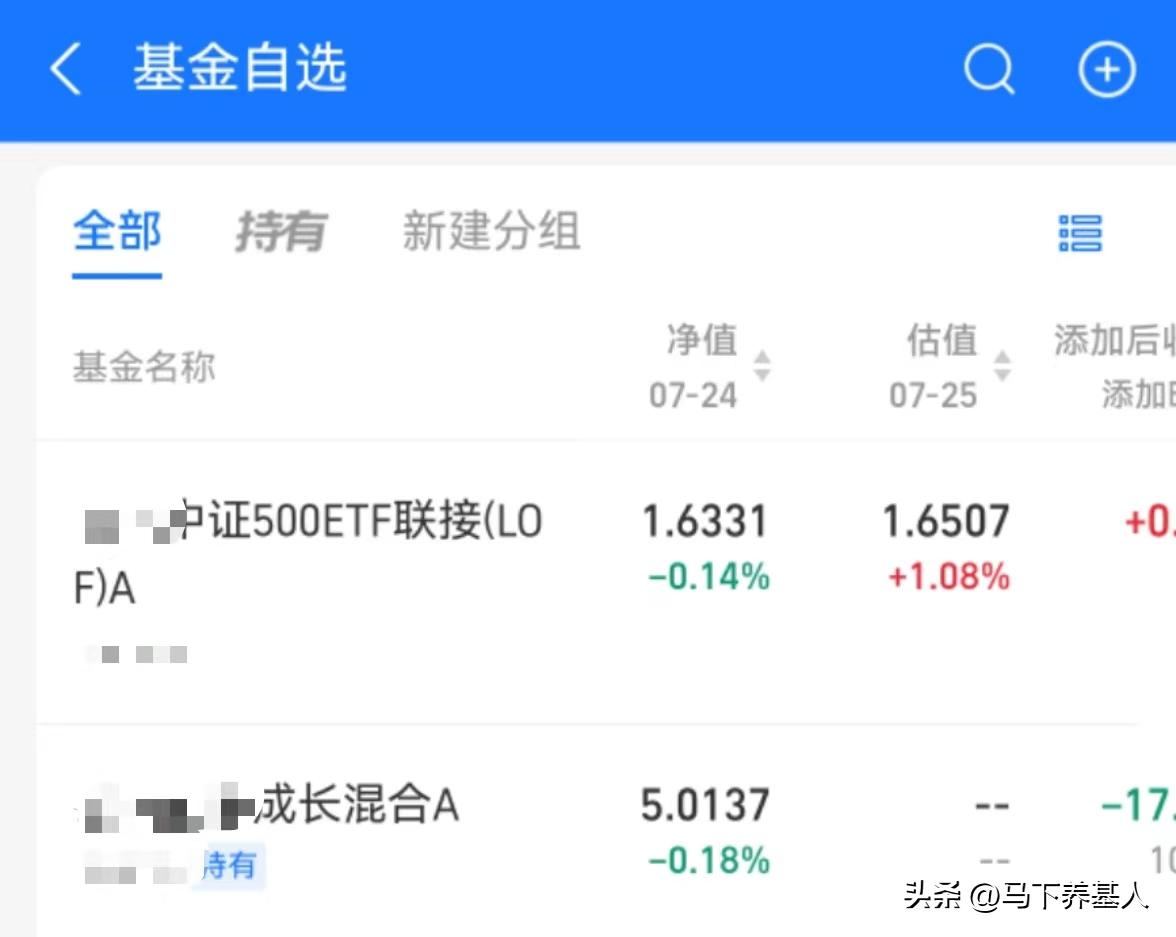 看不到基金净值的怎么看涨跌,为什么看不到基金估算值