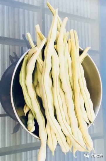 在澳洲种菜日记,我在澳洲学医