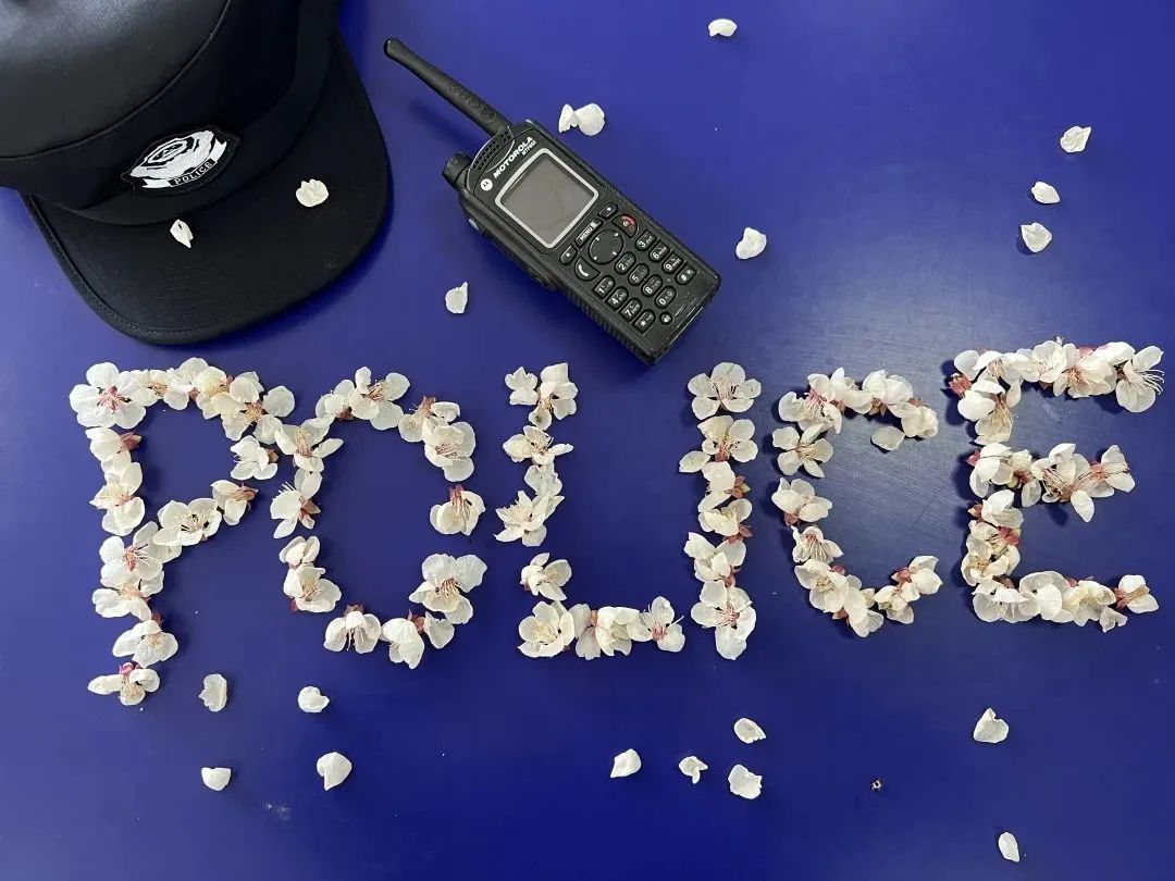 警花表白同为民警的新郎,警花燕子电影完整版