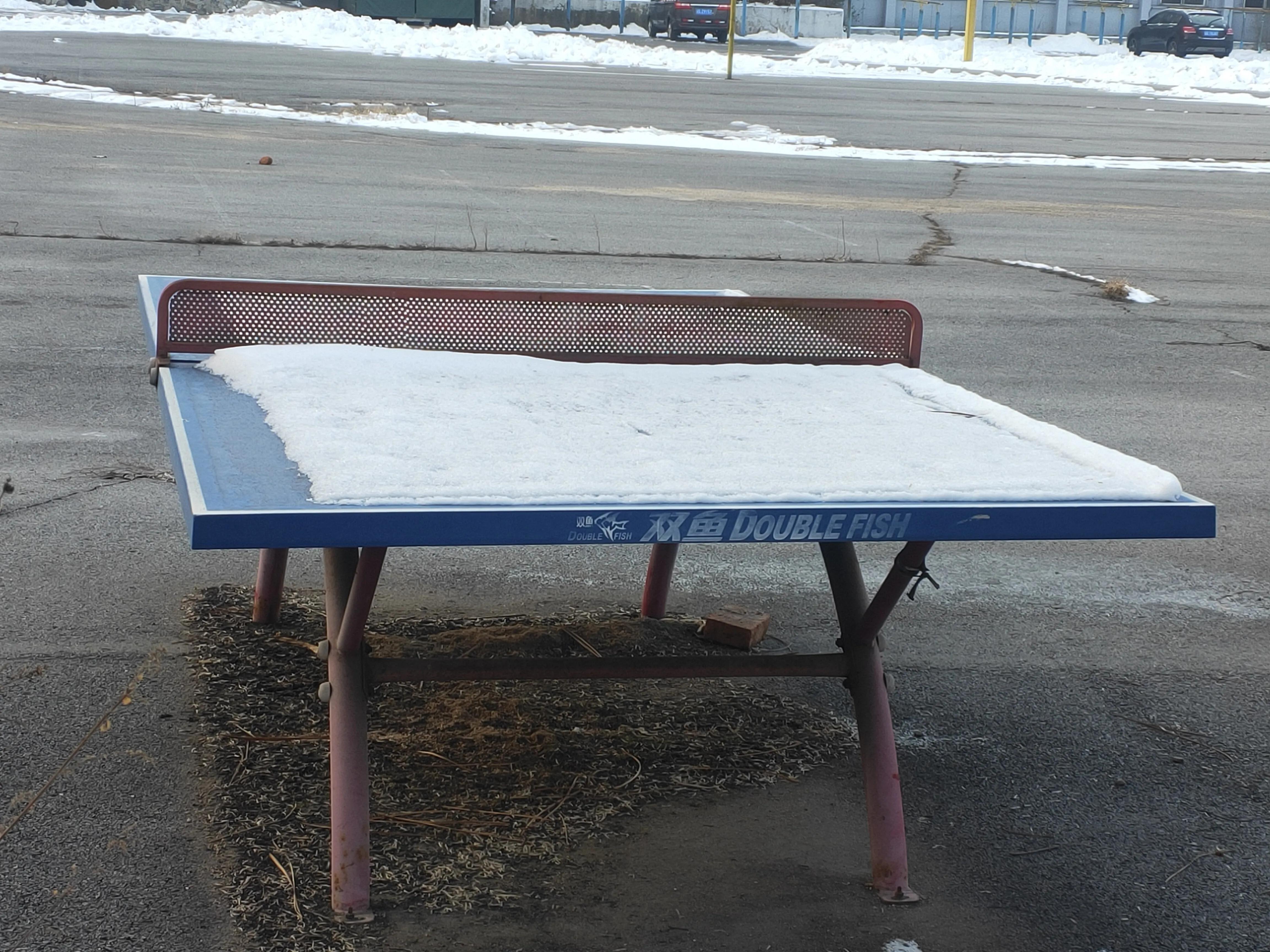 热身服乒乓球,蝴蝶乒乓球衣