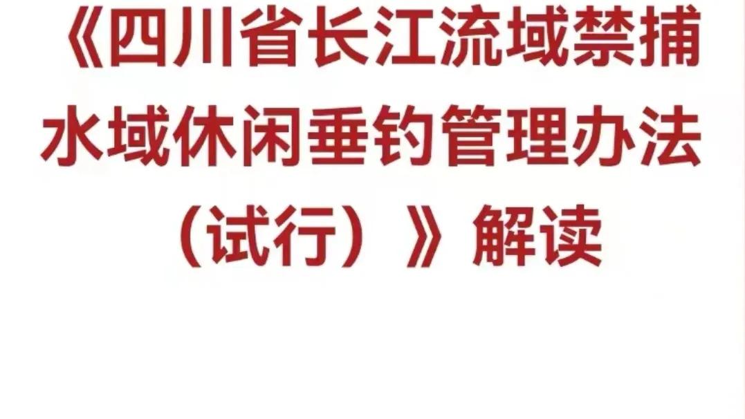 单钩作钓比双钩中鱼率更高吗,单钩垂钓适合大鱼还是小鱼