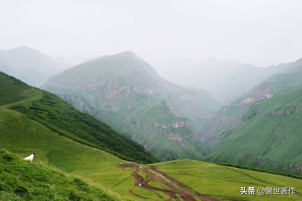 七律采蜜诗,蜜蜂诗词七律