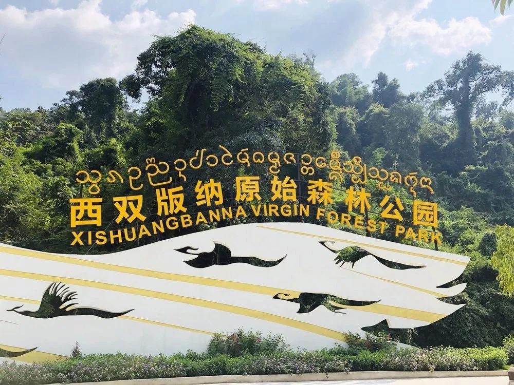 云南旅游景点攻略详细介绍大全集,云南大理旅游必去的景点2020