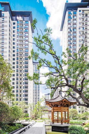 因为万科遇见城市更美的风景,万科美好瞬间