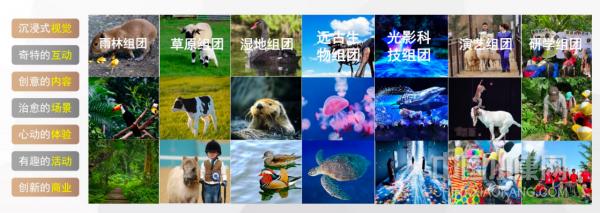 全沉浸互动式动物园,丽水动物园推荐