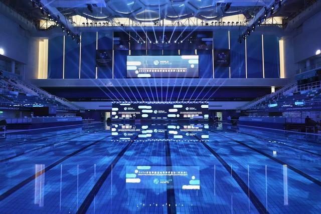 追光季蓝色花海,追光拥抱春天