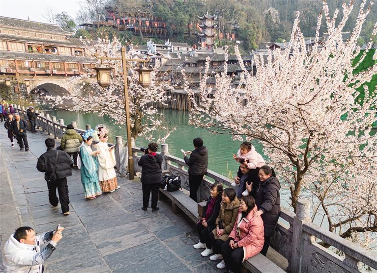 春来湘西，拈朵微笑的花