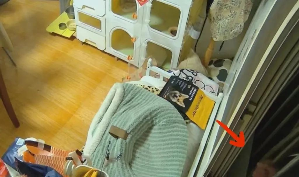 梦游被叫醒会失忆,男性喝酒后失忆