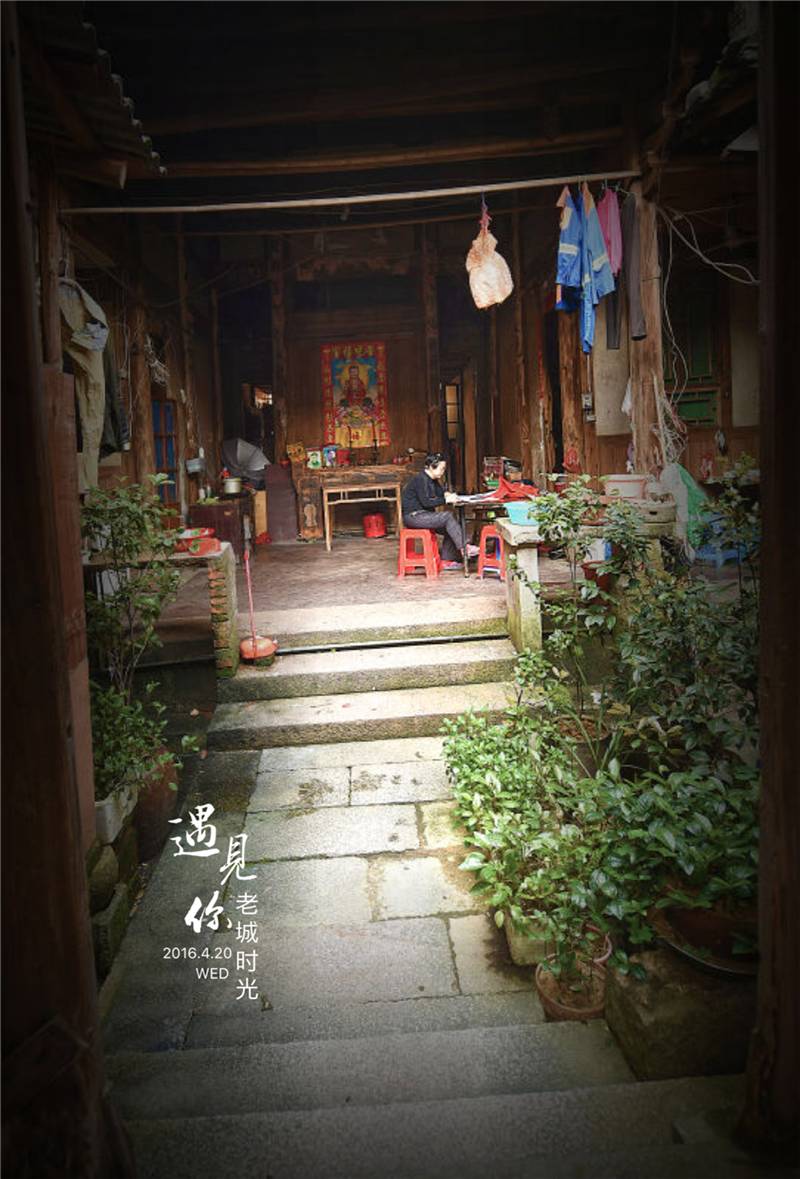 闽东之光福安,闽东之光全部视频