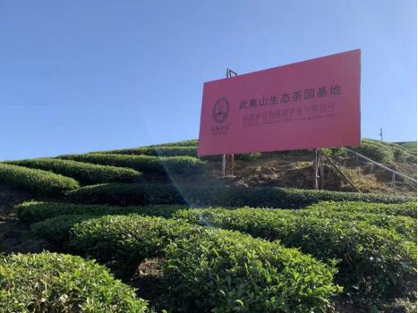 泉苑水仙种,泉苑水仙