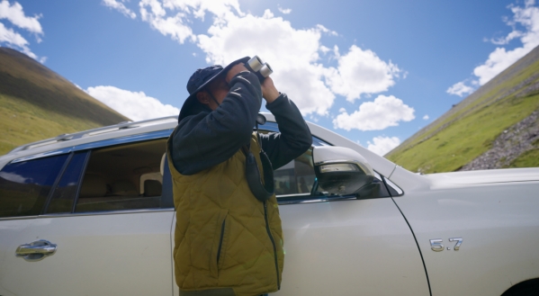 世界雪豹日宣传片,世界雪豹