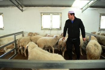 记者手记动态图片,记者手记的素材