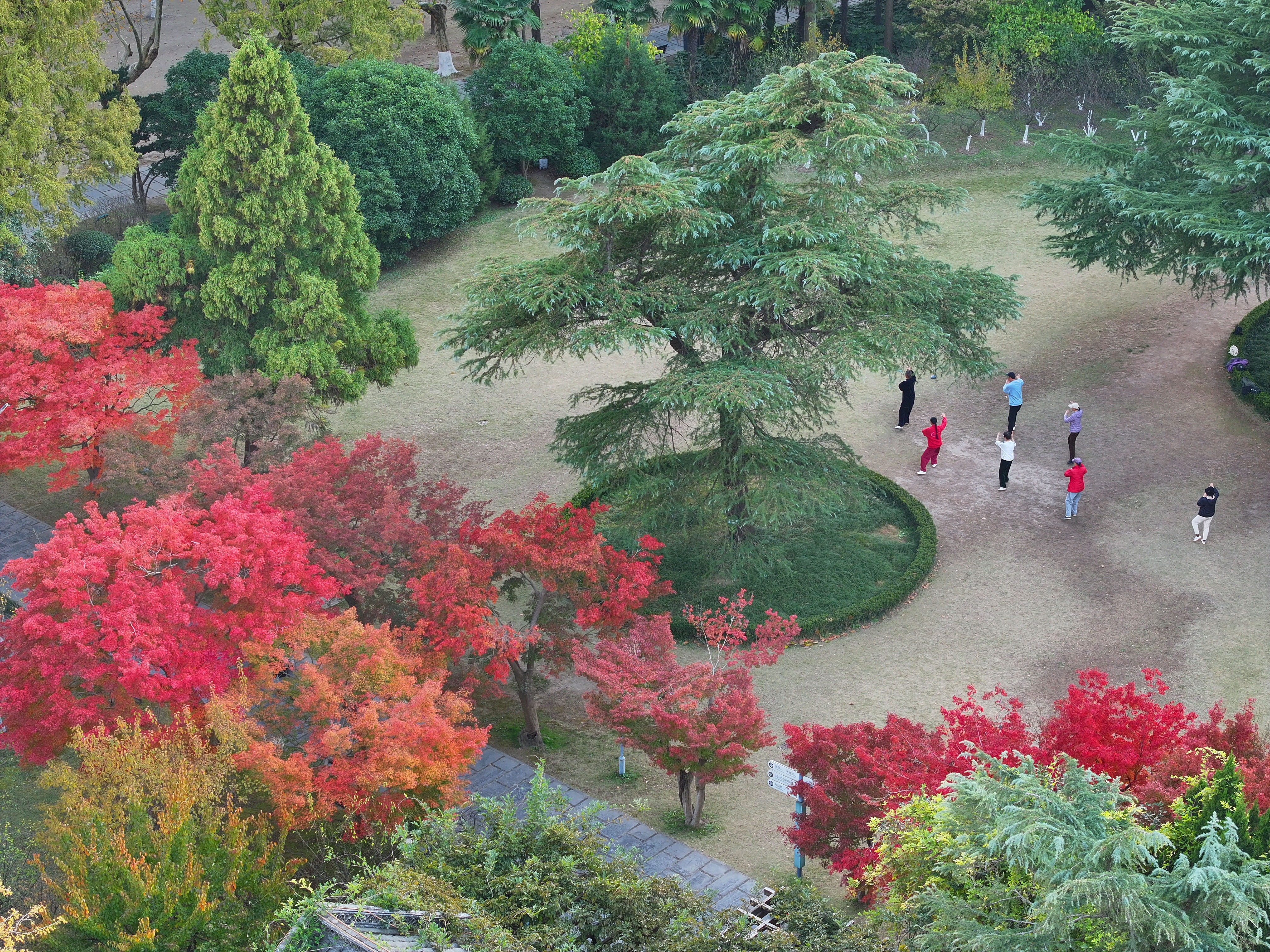 寒冷冬天美景如画,环境美景欣赏