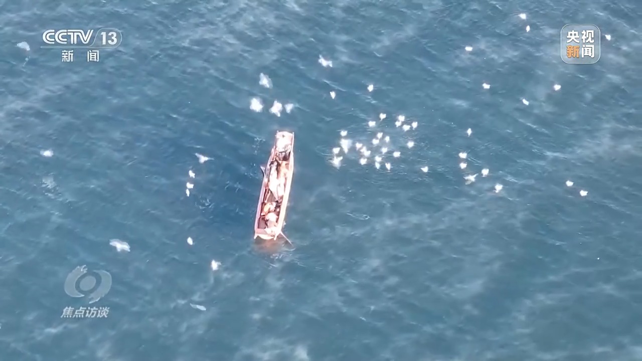 长江禁渔后鱼产卵,长江禁渔期专访