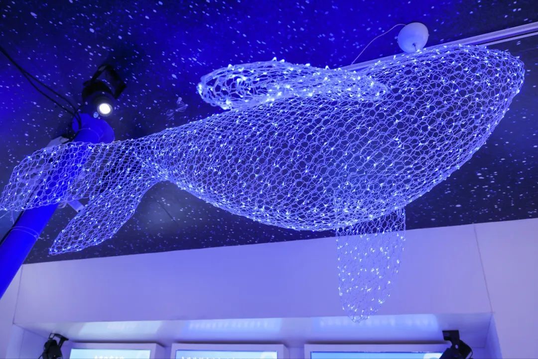 海南中国南海博物馆,海南南海博物馆旅游景点