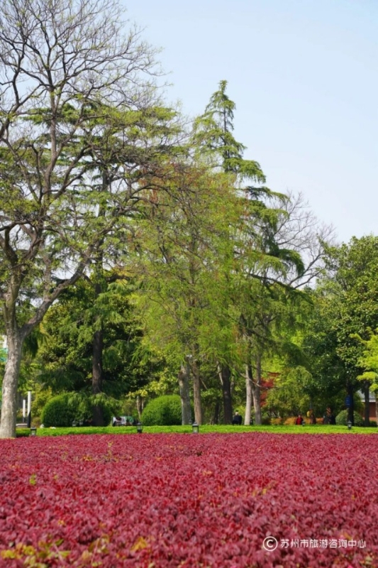 苏州值得逛的免费公园,苏州逛公园