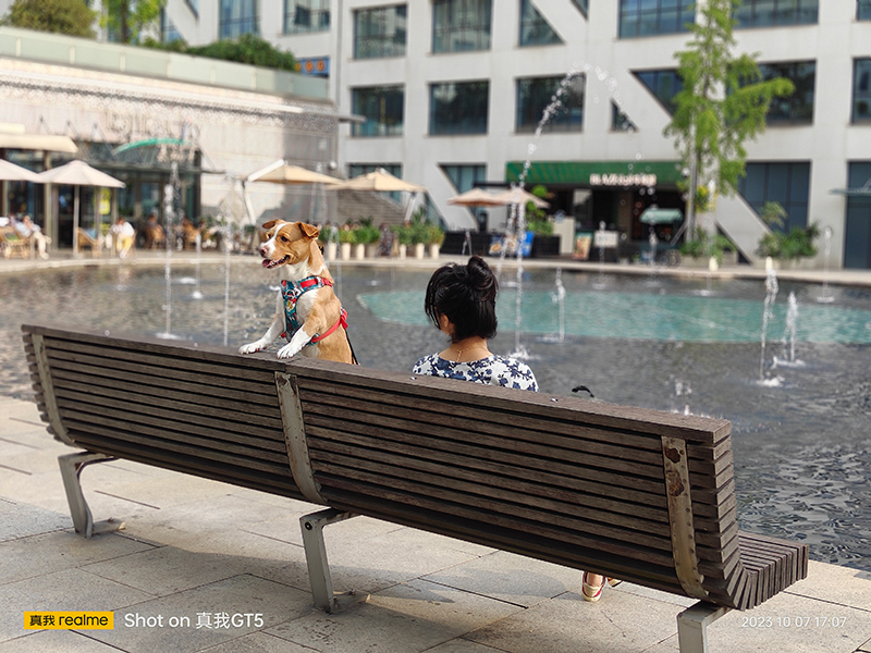 realme真我gt5手机开箱,realme真我x50开箱