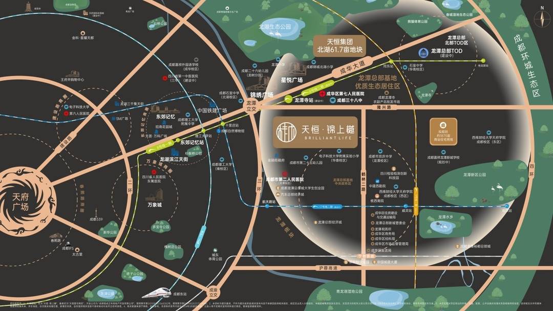 高分交卷！天恒，不止于期待