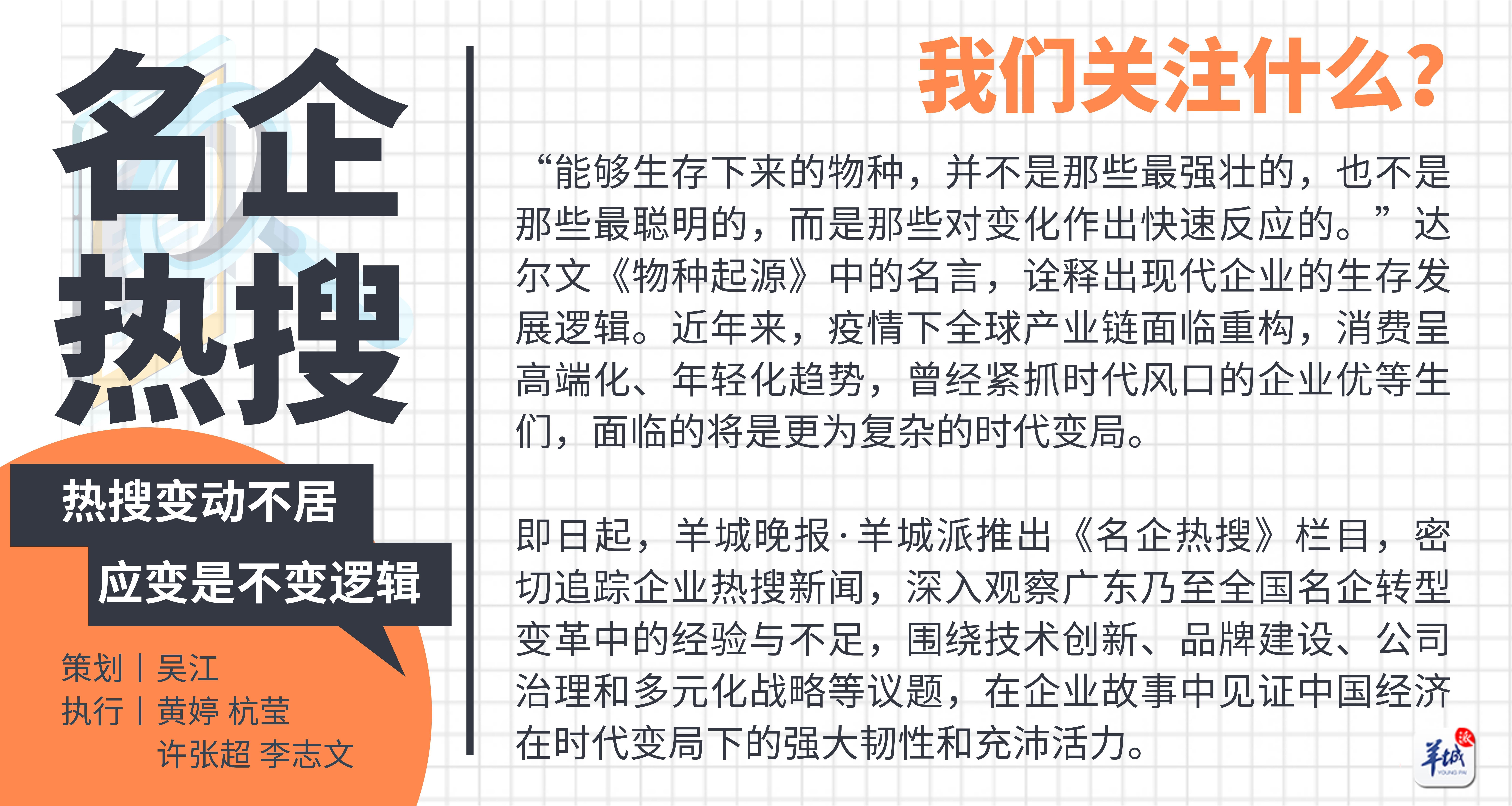 淑女屋女装加盟店,淑女屋品牌女装官方旗舰店图文