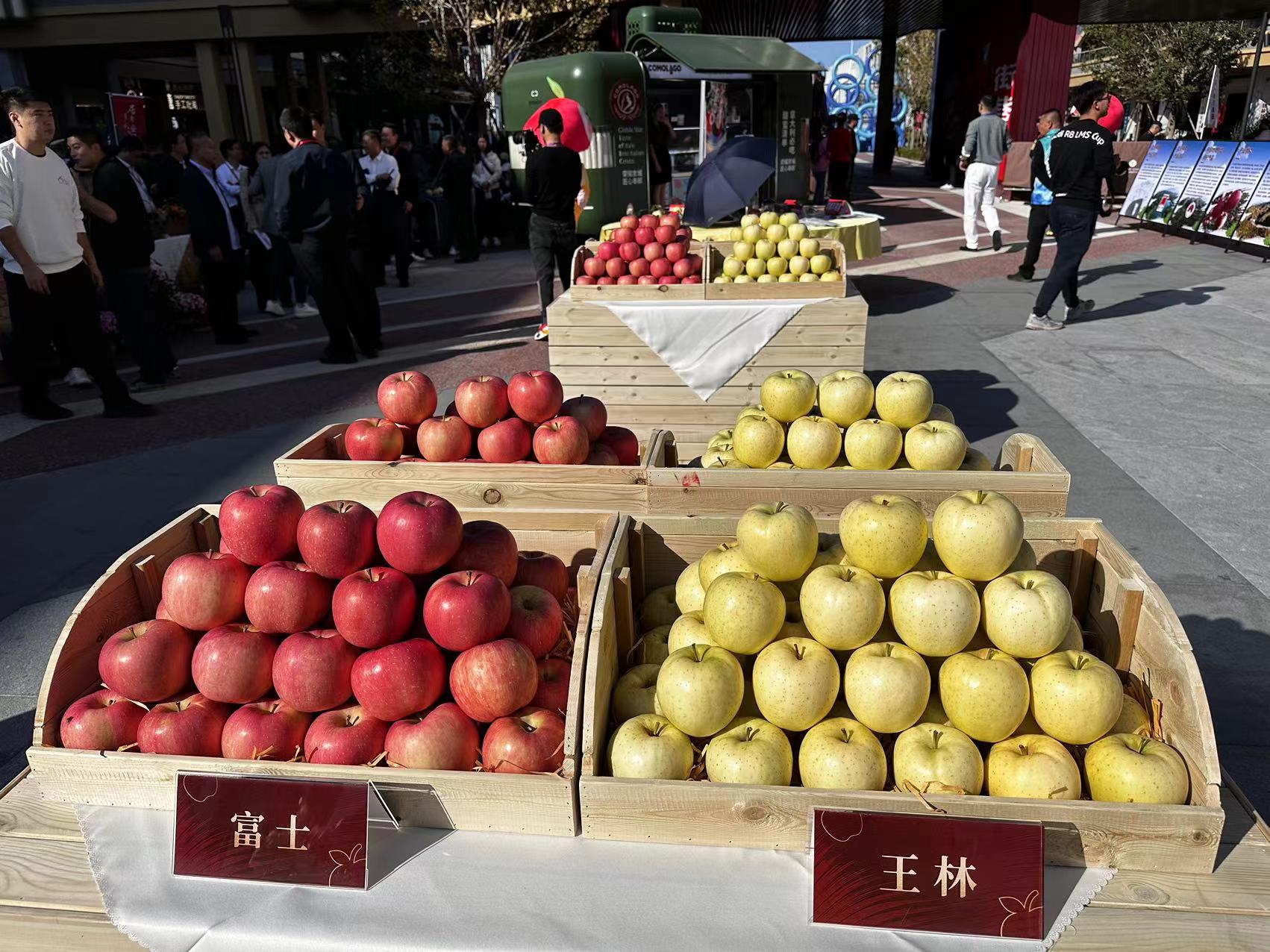 昌平23年苹果采摘的最佳时间,昌平苹果丰收啦