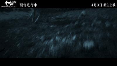 它屡获大奖，仍无法打破票房魔咒？万玛才旦导演遗作《雪豹》悄然上映