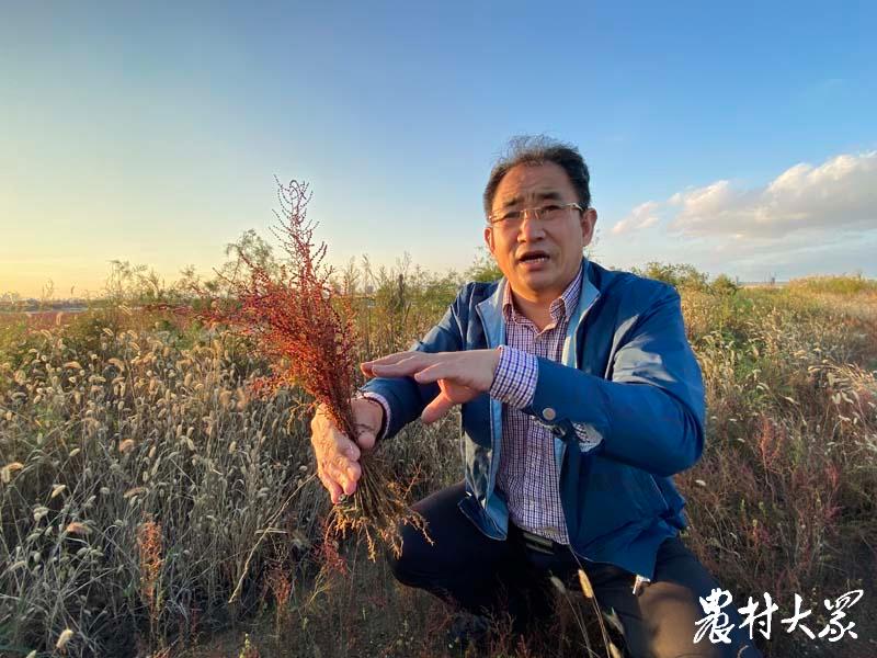海洋生物捕获多少二氧化碳,海洋封存二氧化碳技术有哪些国家